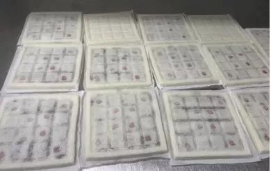 一张图上海旅游,一张地图看上海