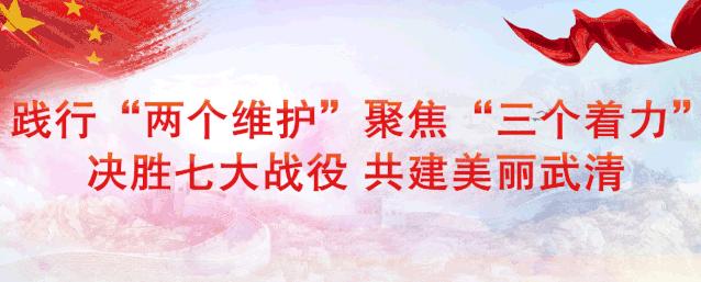 武清区人大常委会副主任李伯怀调研营商环境工作