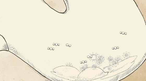 团购|不用手搓，衣服一泡就干净，懒人必备