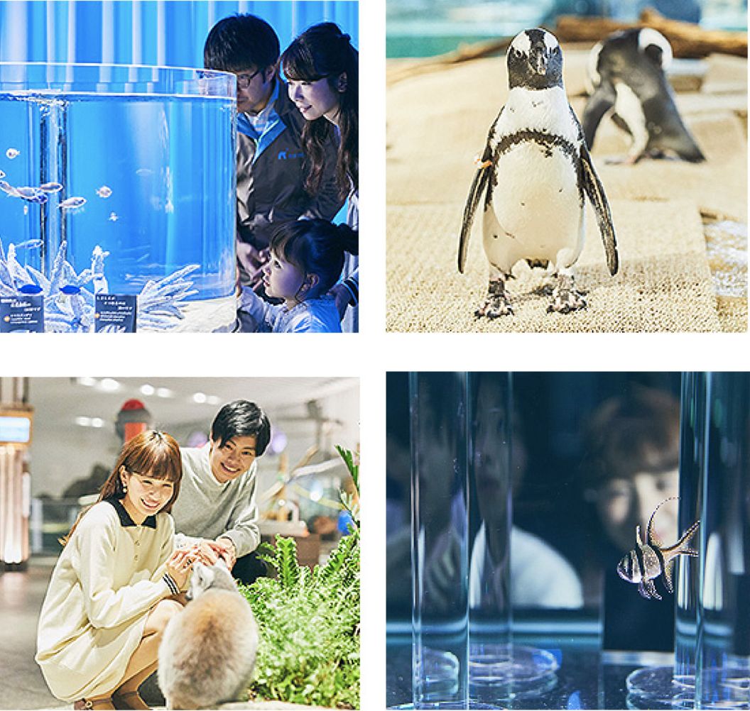 日本雨天大阪,日本下雨游玩景点推荐一下