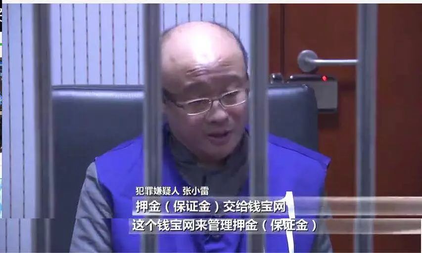 张小雷钱宝网案件最新进展,钱宝网案退赔比例