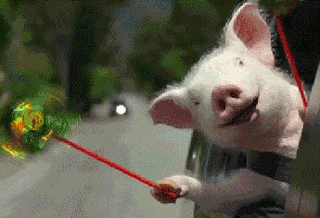 真行！北京小伙这样出门上班，挺有自己的一套