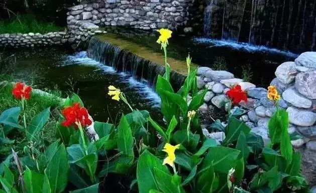 郑州湿地公园有啥好玩的,郑州周边的这七大湿地公园