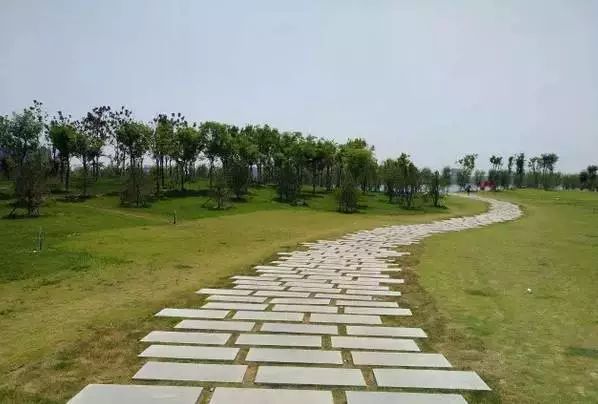 郑州湿地公园有啥好玩的,郑州周边的这七大湿地公园