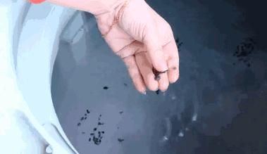 它的菌含量居然是马桶的530倍，你还在每天用