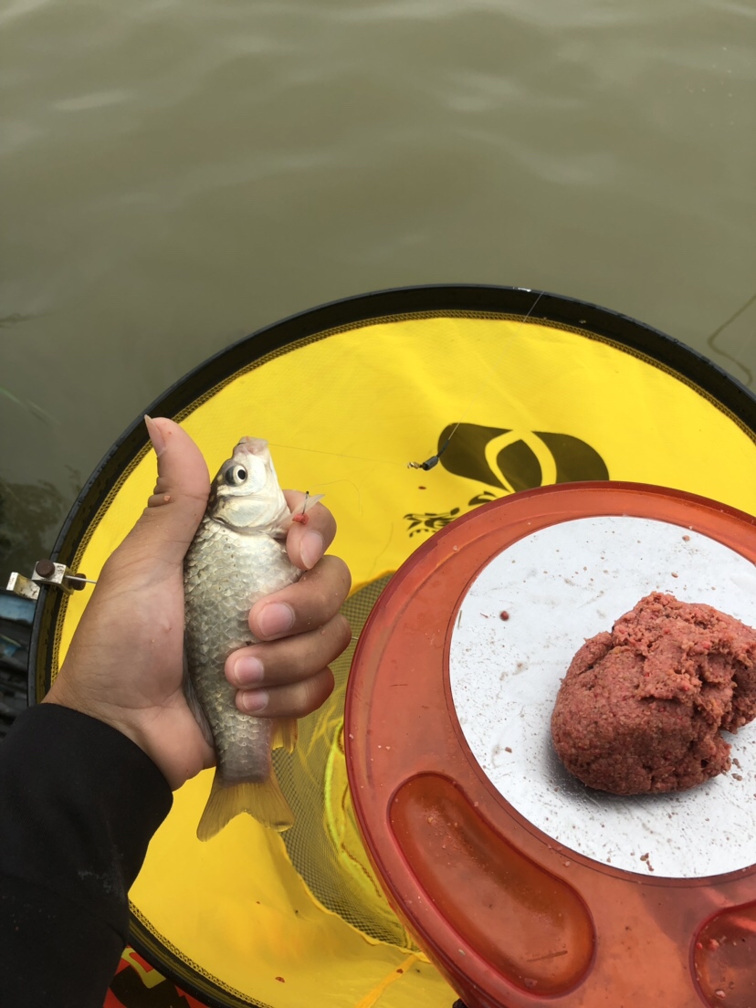 初春河流大水面野钓,大水面滑漂野钓