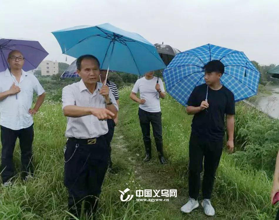 娴欐睙涔変箤杩欎袱澶╃殑瑙嗛,涔変箤杩欎袱澶╃殑瑙嗛