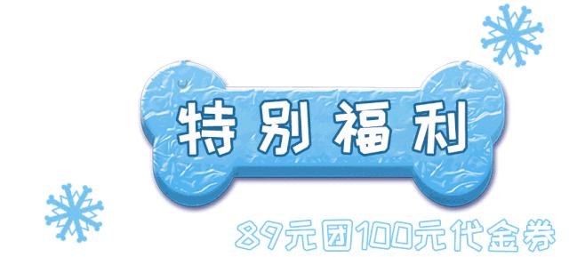 汪汪队冬日奇幻秀,汪汪队奇幻冰雪节