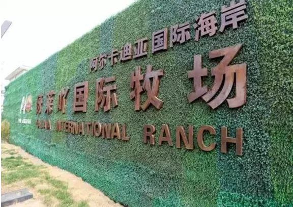 海洋夏令营,2017北戴河夏令营