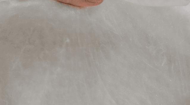 蚕丝被公告,蚕丝被曝光事件