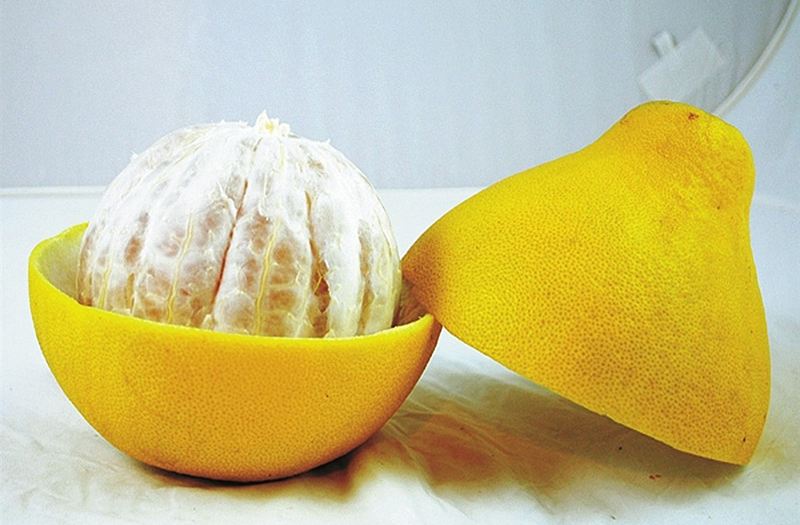 这些除醛方法才能帮你安全住新家,简单实用的除醛方法