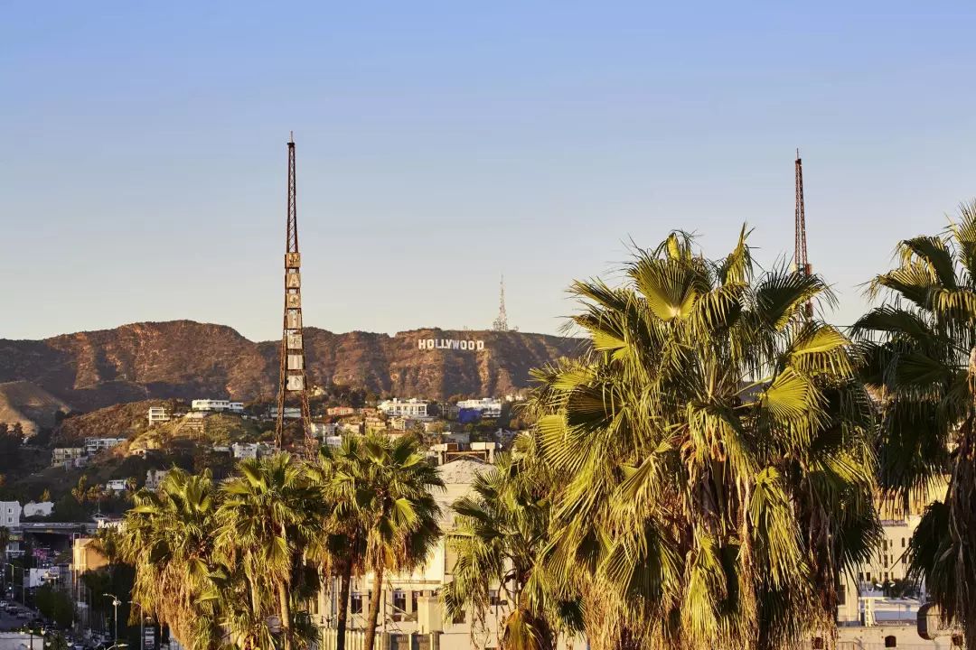 当代年轻人开房规定,年轻人开房规定