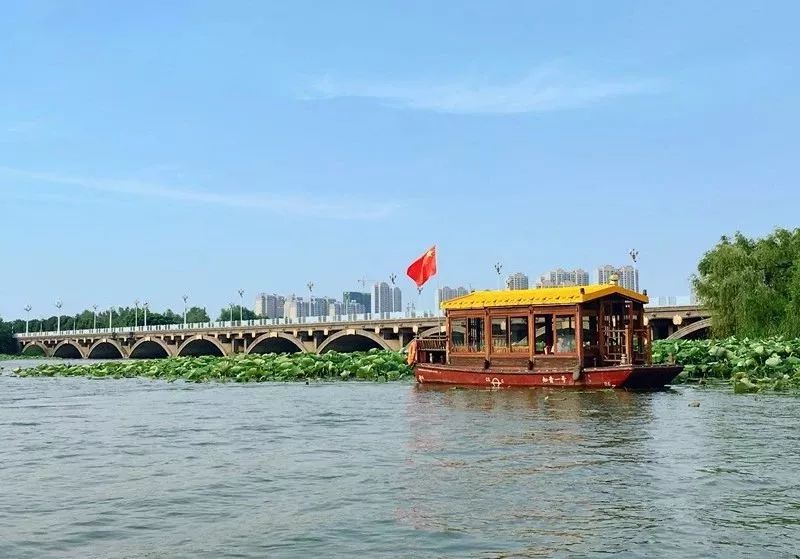 醉美荷花季,醉美荷花花海图片