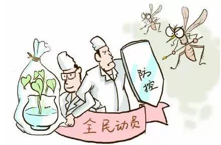 @全体南宁人,赶紧翻盆倒罐动起来!“三红”、“三痛”又是啥?