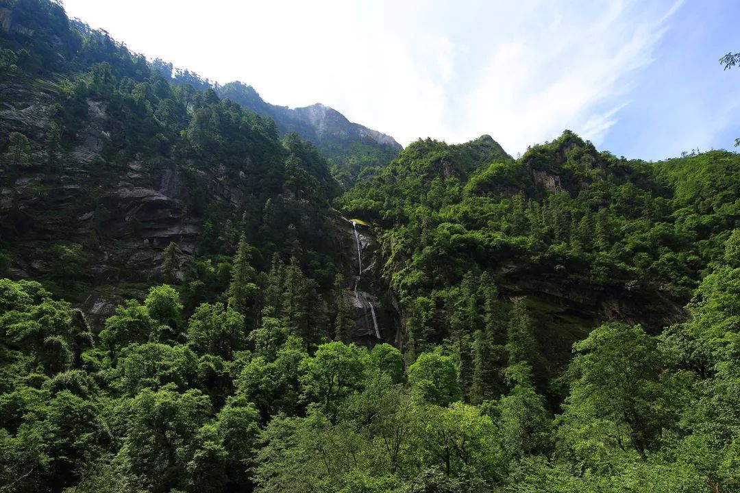 山南在哪里买手机,山南在哪里卖黄金