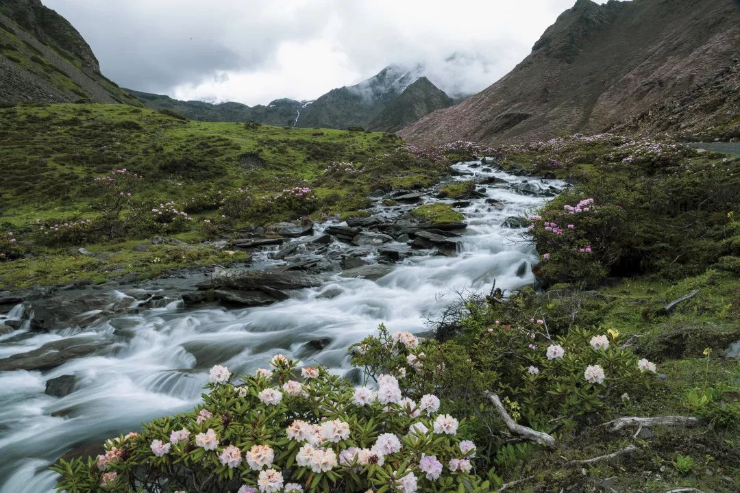 山南在哪里买手机,山南在哪里卖黄金