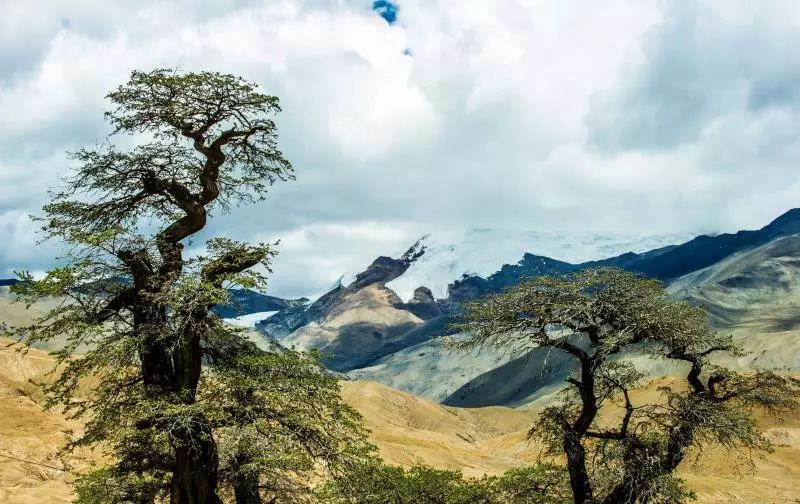 山南在哪里买手机,山南在哪里卖黄金