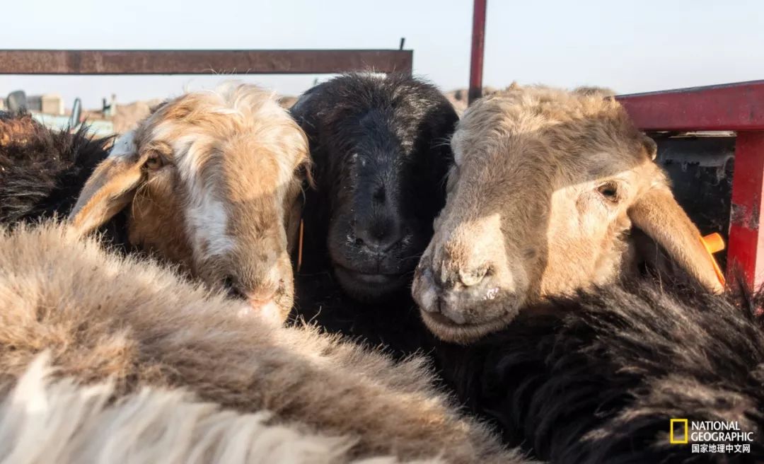 热爱摄影热爱跑步热爱生活,如果你热爱拍照