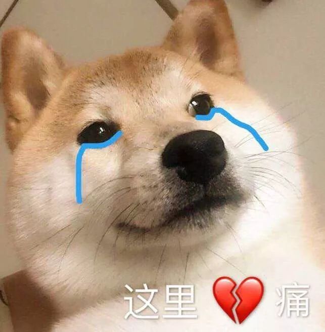 好物|头皮发麻！没有它我真的连衣服都不敢穿了