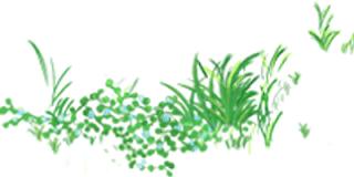 追忆陆谷孙|他的满头白发，是抖落了文字的“空词典”