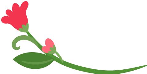 细菌性肝脓肿最主要的原因是,细菌性感染肝脓肿主要致病菌