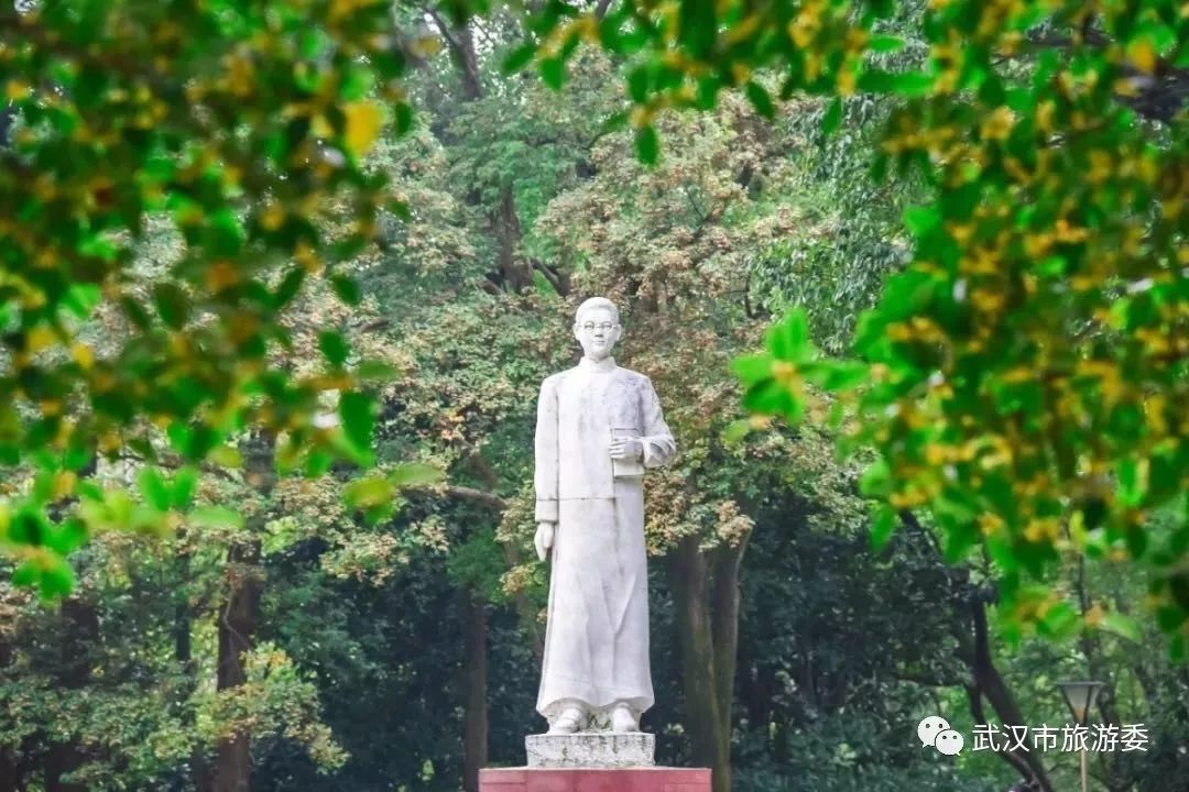 来武汉读书第一年,来武汉上大学的理由