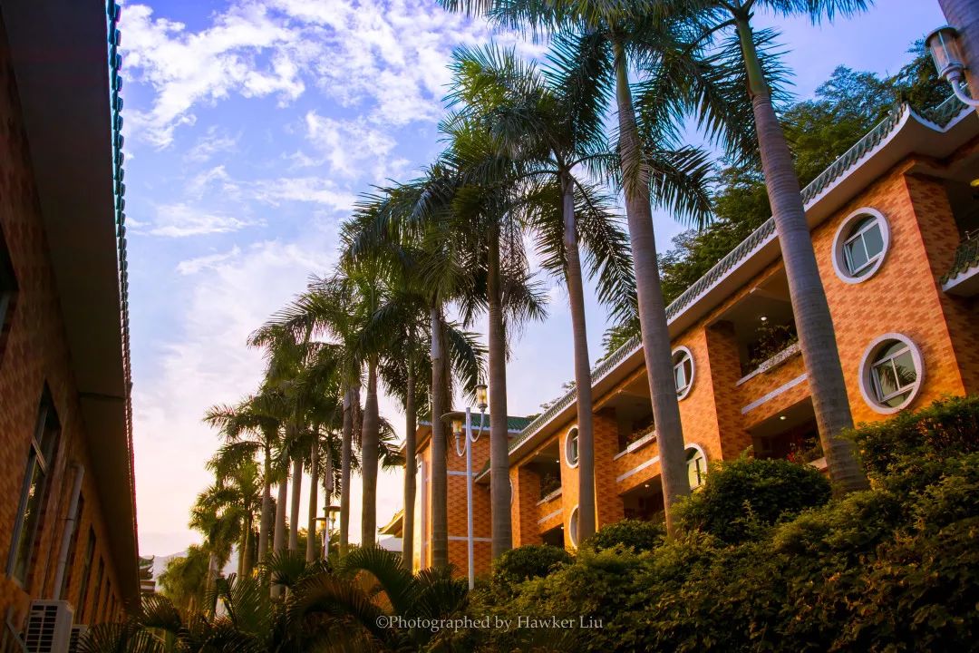 内外兼修的美才是真正的美,内外兼修的美丽