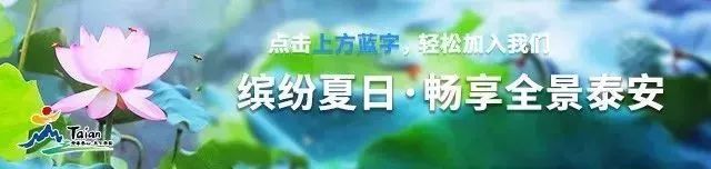 天下第一山泰山视频,天下第一山天子山