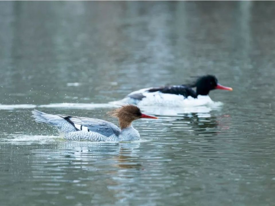 2.5浜垮勾鍚庣殑鍦扮悆鍙樺寲,涓滃寳鐏北鎬庝箞鍙樻垚绮粨