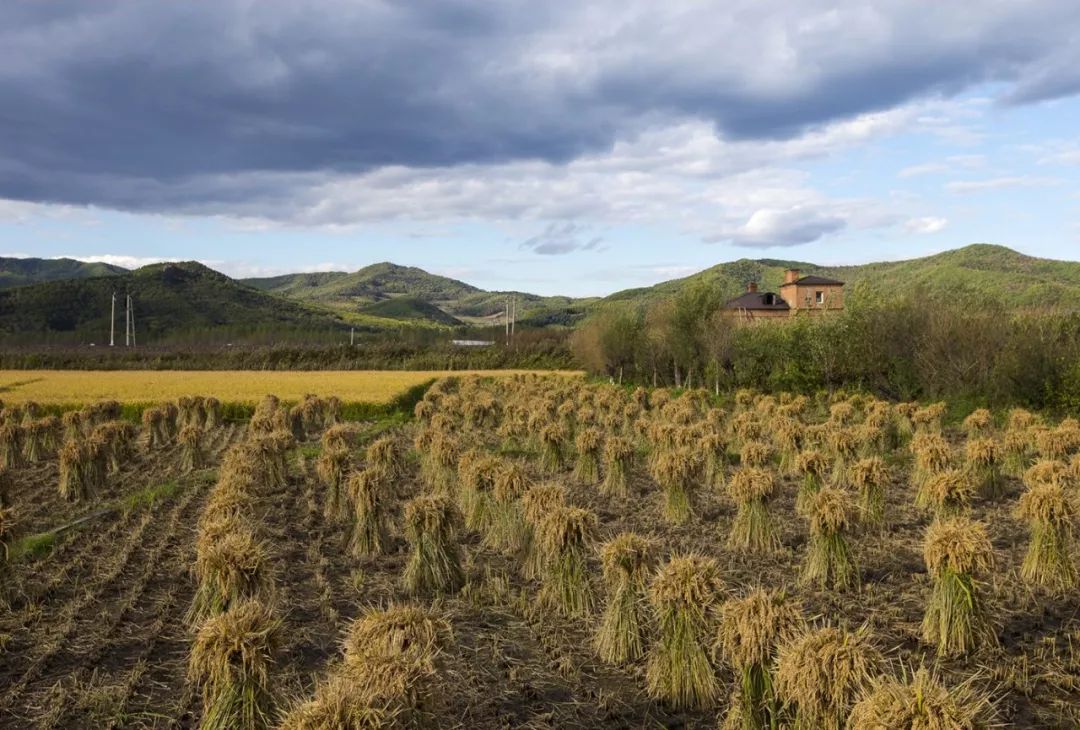 2.5浜垮勾鍚庣殑鍦扮悆鍙樺寲,涓滃寳鐏北鎬庝箞鍙樻垚绮粨