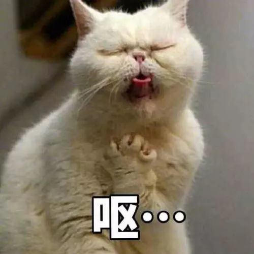 “这是甘茶度还是泔水？！”被人民日报点名diss的这家奶茶店，总部竟然在杭州