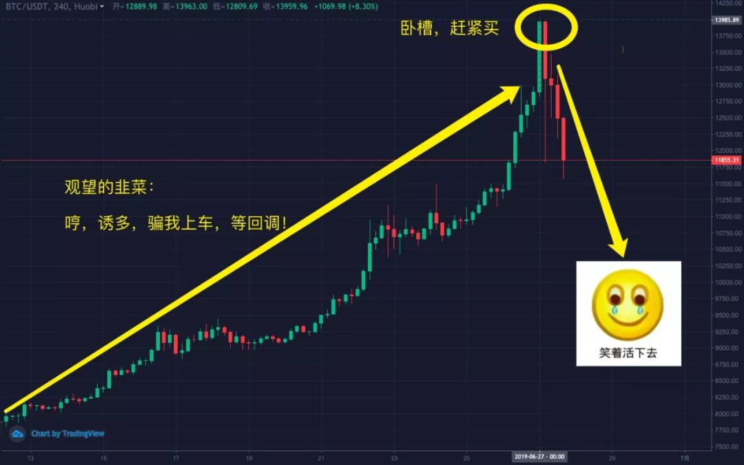 *币特比**世界中，谁是最强奶王？