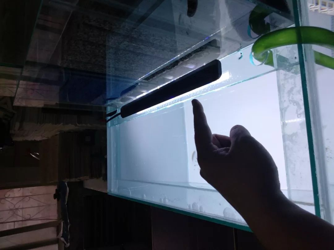 大神「鱼勇」DIY一缸多用“直播”教程，好缸无需再等