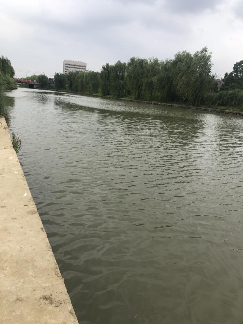 风大浪大好钓海鱼吗,风大浪大钓底还是钓浮