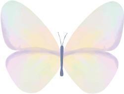 国际盲人节：假如让我三天失明