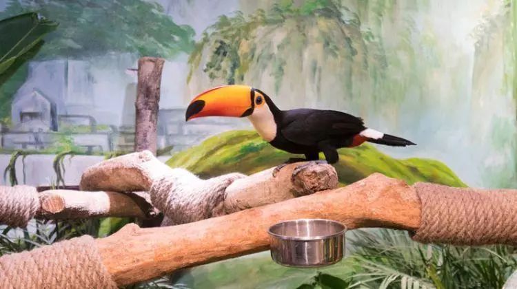 普通门票疯狂动物城,假期打卡疯狂动物城