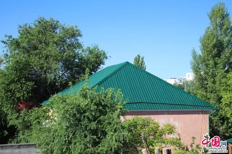 【记者的*疆新**日记】塔城印象：一棵橡树满城风情