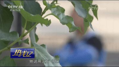 车辆抵押套路贷最佳处理方法,什么情况下是汽车抵押套路贷