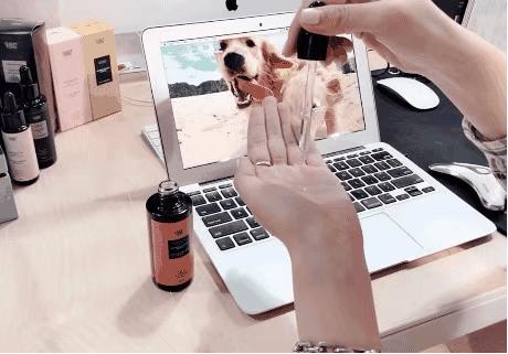 乐坛大佬组团关门“搞副业”，小清新入职报道狂减40斤？