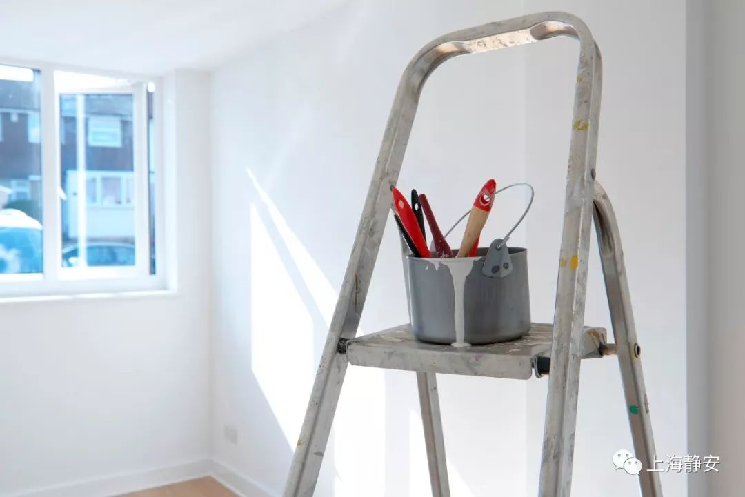 吸收甲醛最佳的十种植物排行榜,吸甲醛最快最有效的植物排名