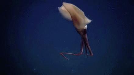 被炒鱿鱼就说明自己不如人吗,被炒鱿鱼是能力差吗