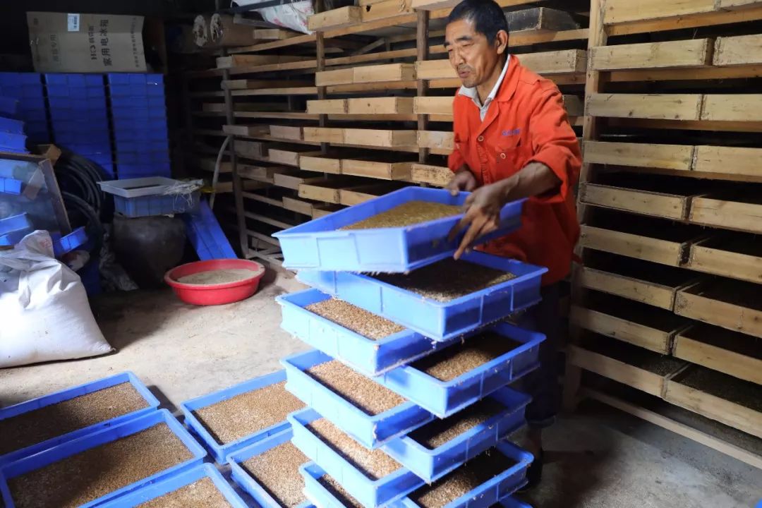 什么？野生的石蛙居然被他养殖成功了？