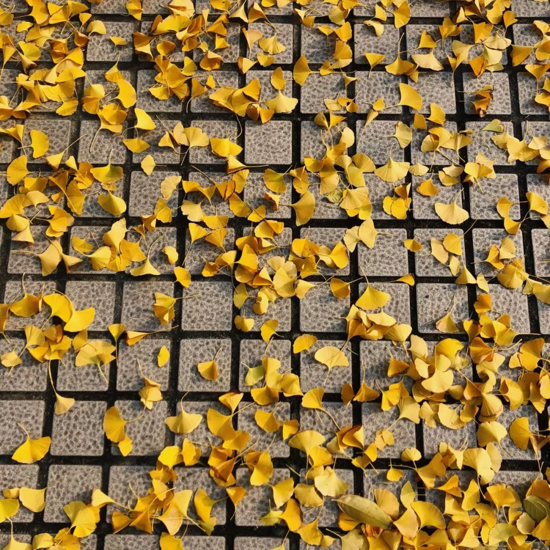 交大城院图片,交大城院在哪里