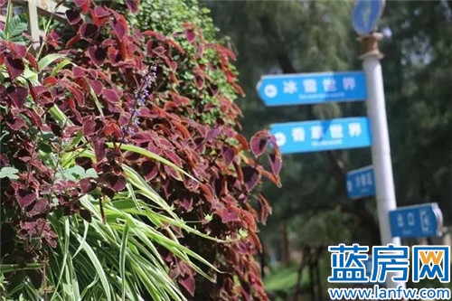 翡翠湾，洞见5G时代，智能地产链接美好人居生活