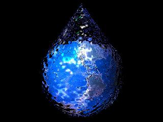 水中常见的藻类微生物图片,藏在水下的生物