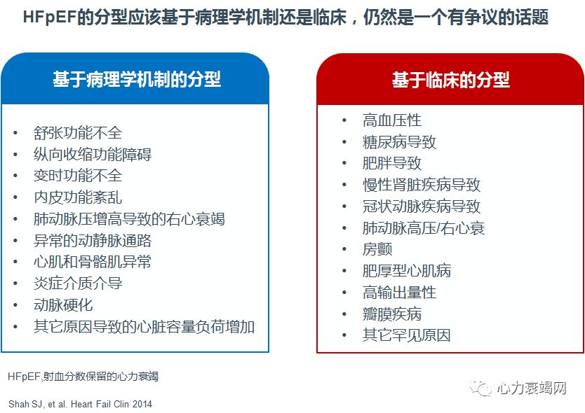 「2019CIHFC」高传玉教授：HFpEF诊断治疗新进展