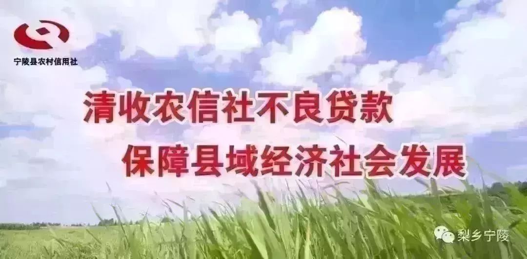 信阳市中招成绩查询2020年,郑州中招艺术后备生成绩怎么查询