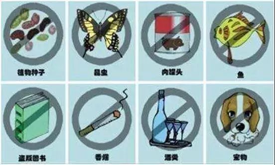 彭于晏和荷兰弟,彭于晏过海关被罚