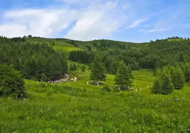 冀情山水(33)|有了这些均温不足20℃的空调山,再热情的“烤验”也挡得住!