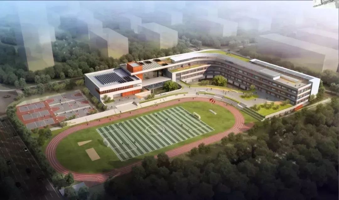 2023年有几所学校投入使用,新区内公办学校有哪些